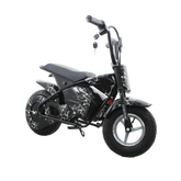 Stryde - Top Speed 30 km/h - 250W 36V 4.4Ah Battery