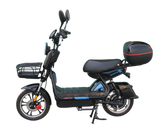 Leaders Pro GoLugger – Electric Commuter – 50 kmph top speed