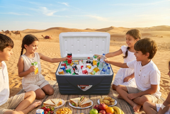 PRINCEWARE 120L Grey Ice Box with Strong Flexible Side Handles, Lid Lock. #3503