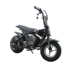 Stryde - Top Speed 30 km/h - 250W 36V 4.4Ah Battery