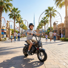 Stryde - Top Speed 30 km/h - 250W 36V 4.4Ah Battery