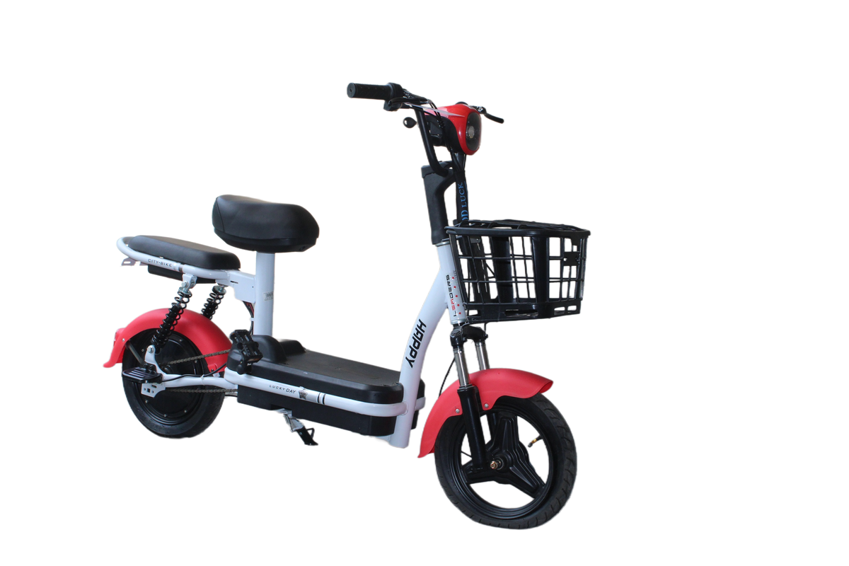 Leaders Pro Haulix Duo – 40 kmph Top Speed