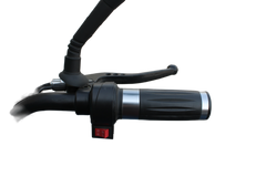 Leaders Pro – Saewhoom Three Seater Scooter - 50 kmph