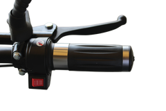 Leaders Pro GoLugger – Electric Commuter – 50 kmph top speed