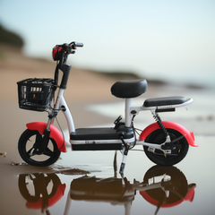 Leaders Pro Haulix Duo Moped – 40 kmph Top Speed